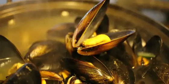 Moules à la Normande - La vraie recette, sans erreurs !